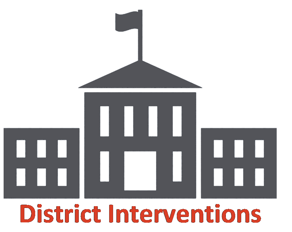 District Interventions Icon